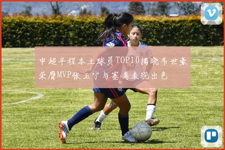 中超半程本土球员TOP10揭晓韦世豪荣膺MVP张玉宁与塞鸟表现出色